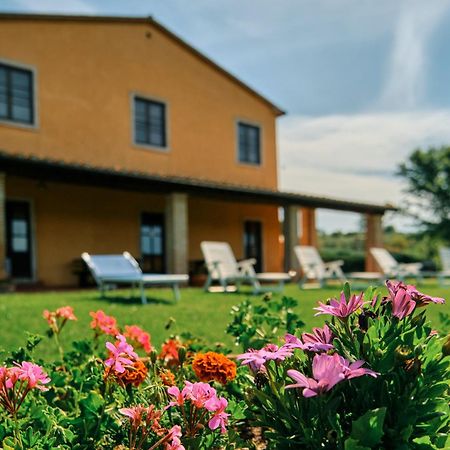 8380 Agriturismo Il Saragiolo Манчиано Экстерьер фото