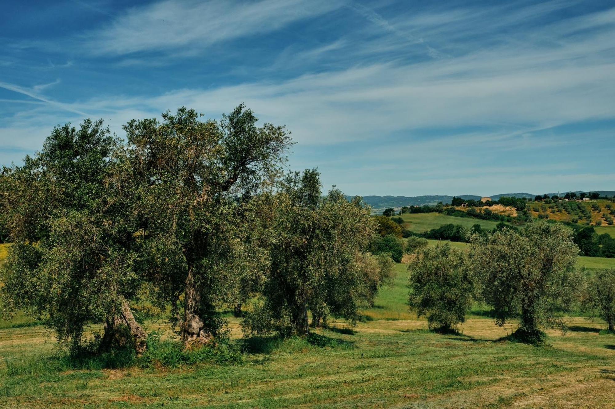 8380 Agriturismo Il Saragiolo Манчиано Экстерьер фото
